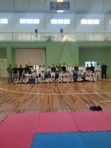 Festival de Judô de Louveira — foto 37