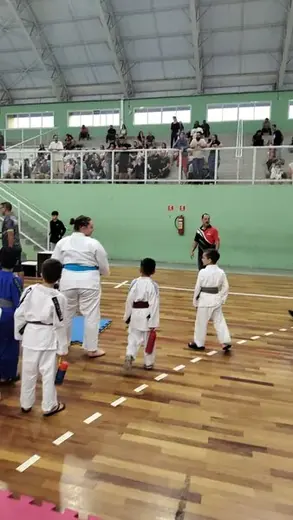 Festival de Judô de Louveira — foto 130