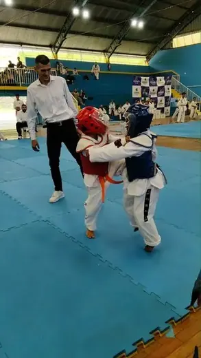 Festival Louveira de Taekwondo 2026 — foto 12